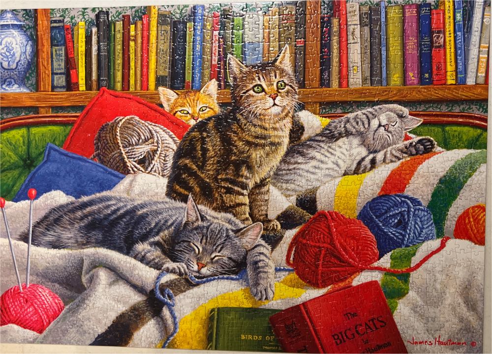 Library Kitties - Buffalo puzzle collectible [Barcode 079346111978] - Main Image 4