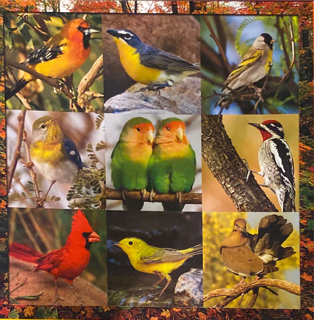 Songbird Symphony - Springbok puzzle collectible [Barcode 091683025114] - Main Image 2