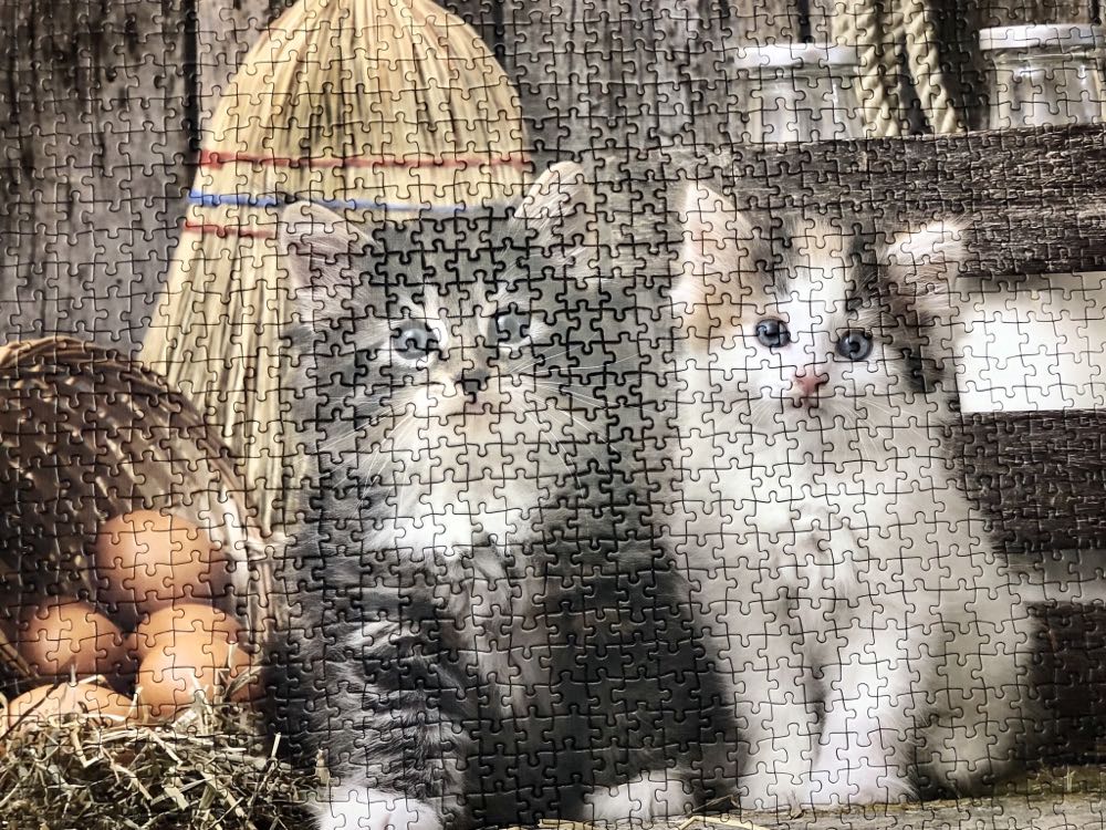 Cute Kittens - Clementoni High Quality Collection puzzle collectible - Main Image 2