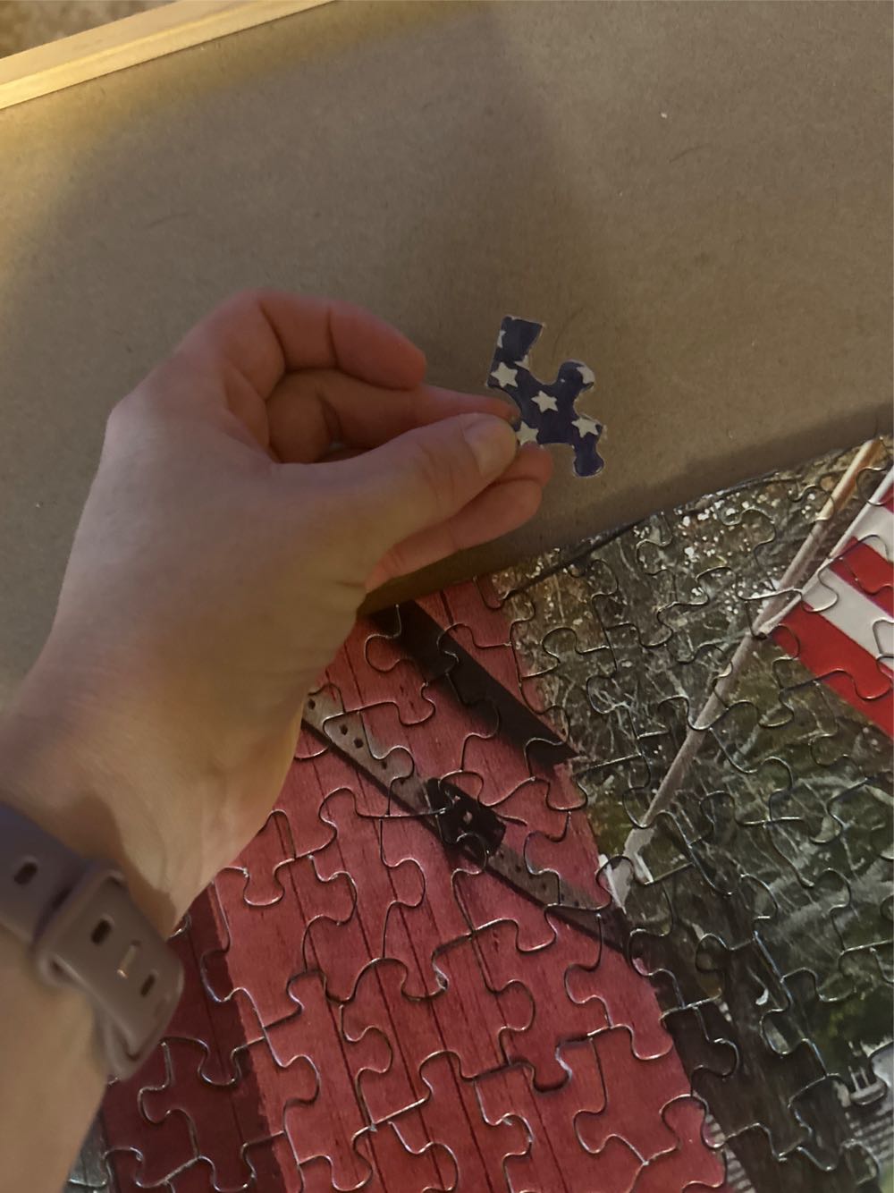 Missing 1, Peaceful Place - Springbok puzzle collectible [Barcode 091683015658] - Main Image 3