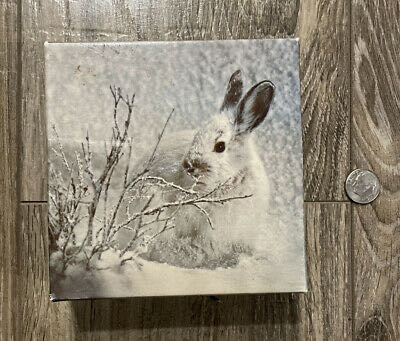 Nativity 100 Pc Complete Missing Sleeve UFS/T