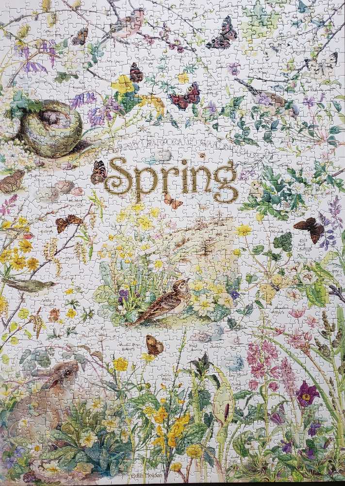 Spring - Cobble Hill puzzle collectible [Barcode 625012802116] - Main Image 2