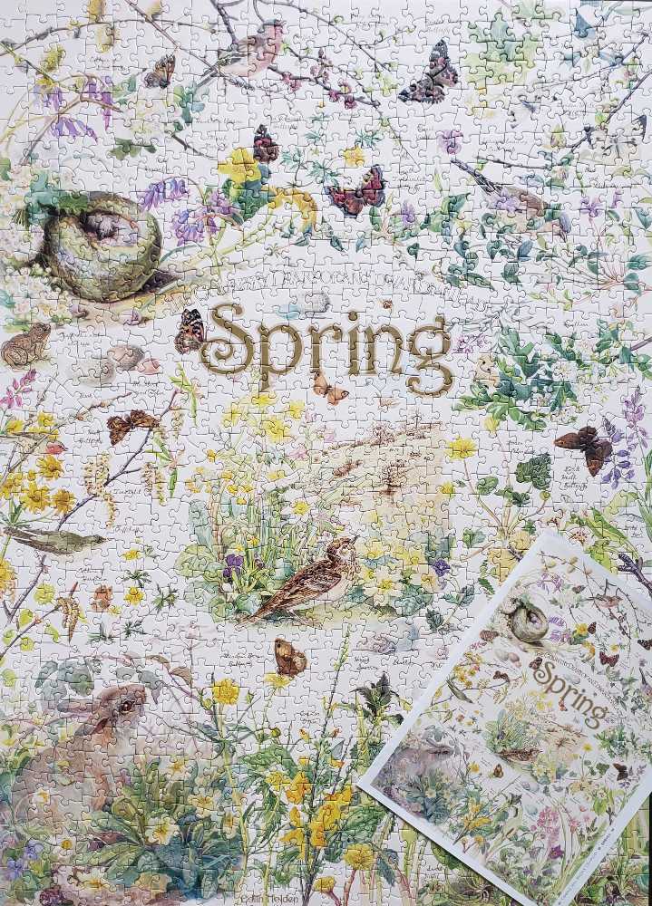 Spring - Cobble Hill puzzle collectible [Barcode 625012802116] - Main Image 4