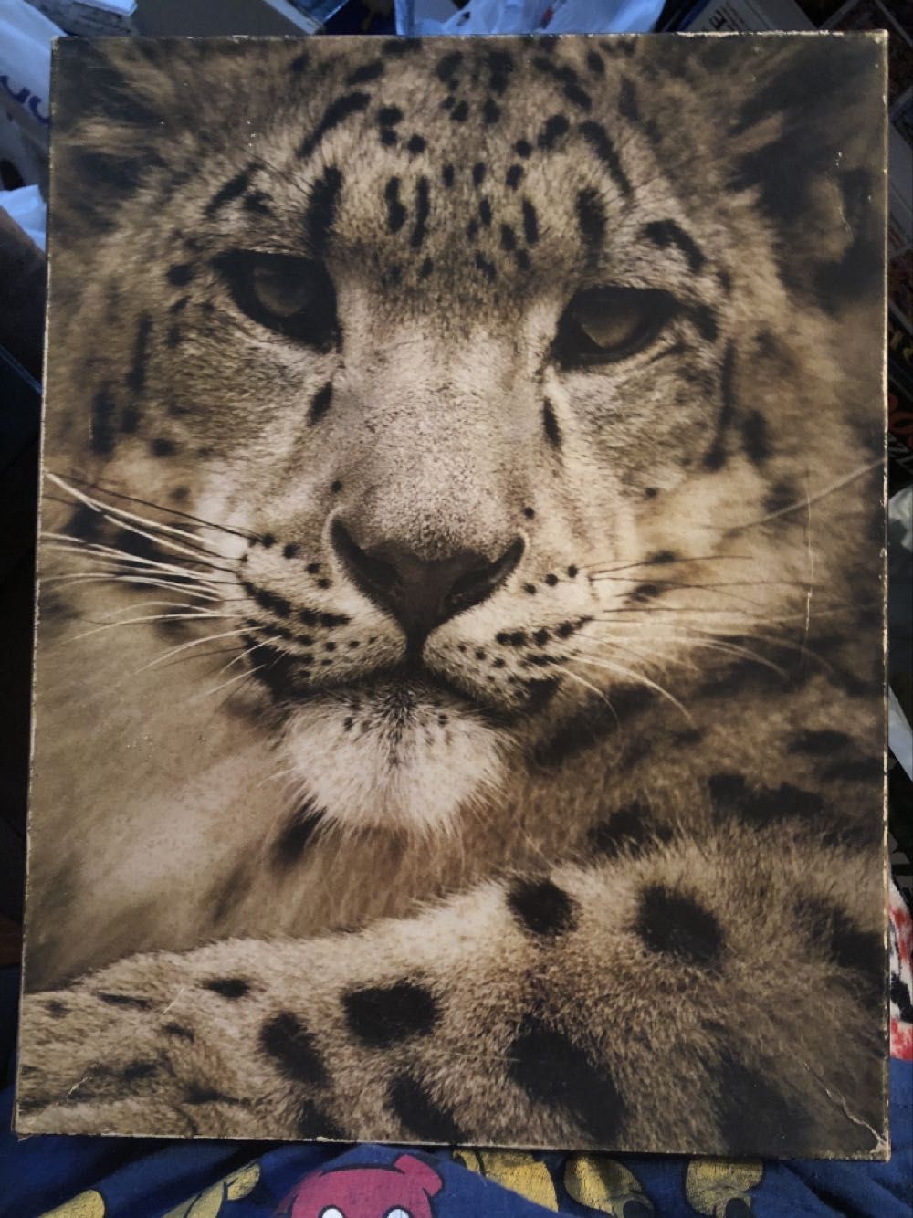 The Great American Presidents