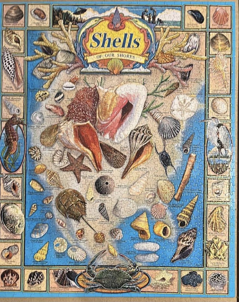 Shells Of Our Shores-KS. - White Mountain Puzzles puzzle collectible [Barcode 724819247844] - Main Image 2