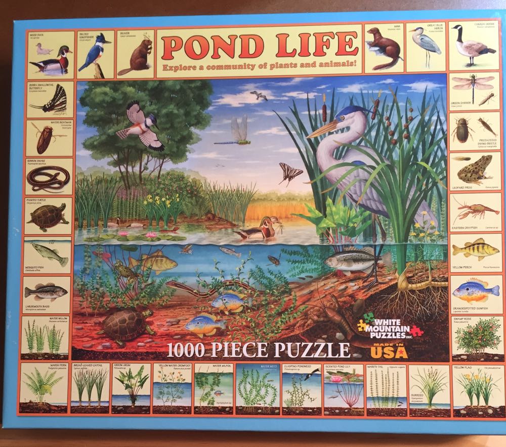 SOLD-Pond Life $$$$ - White Mountain Puzzles puzzle collectible [Barcode 724819251018] - Main Image 2