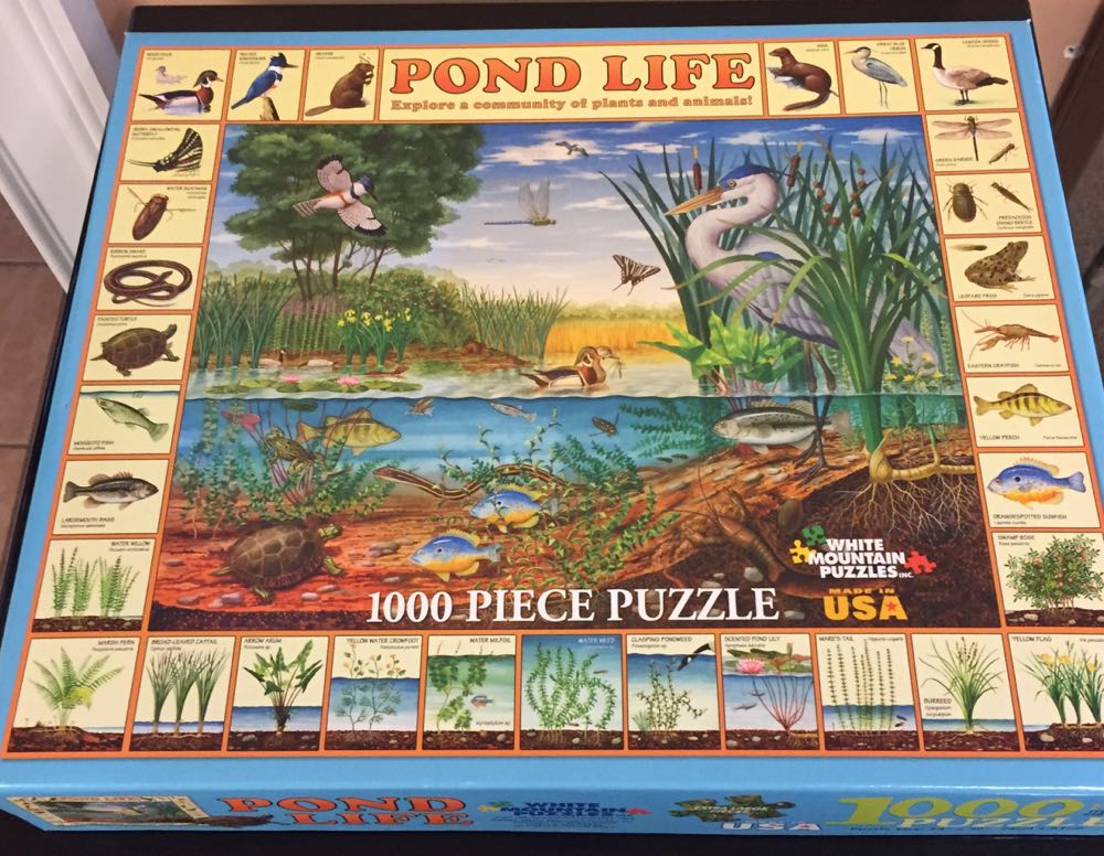 SOLD-Pond Life $$$$ - White Mountain Puzzles puzzle collectible [Barcode 724819251018] - Main Image 3