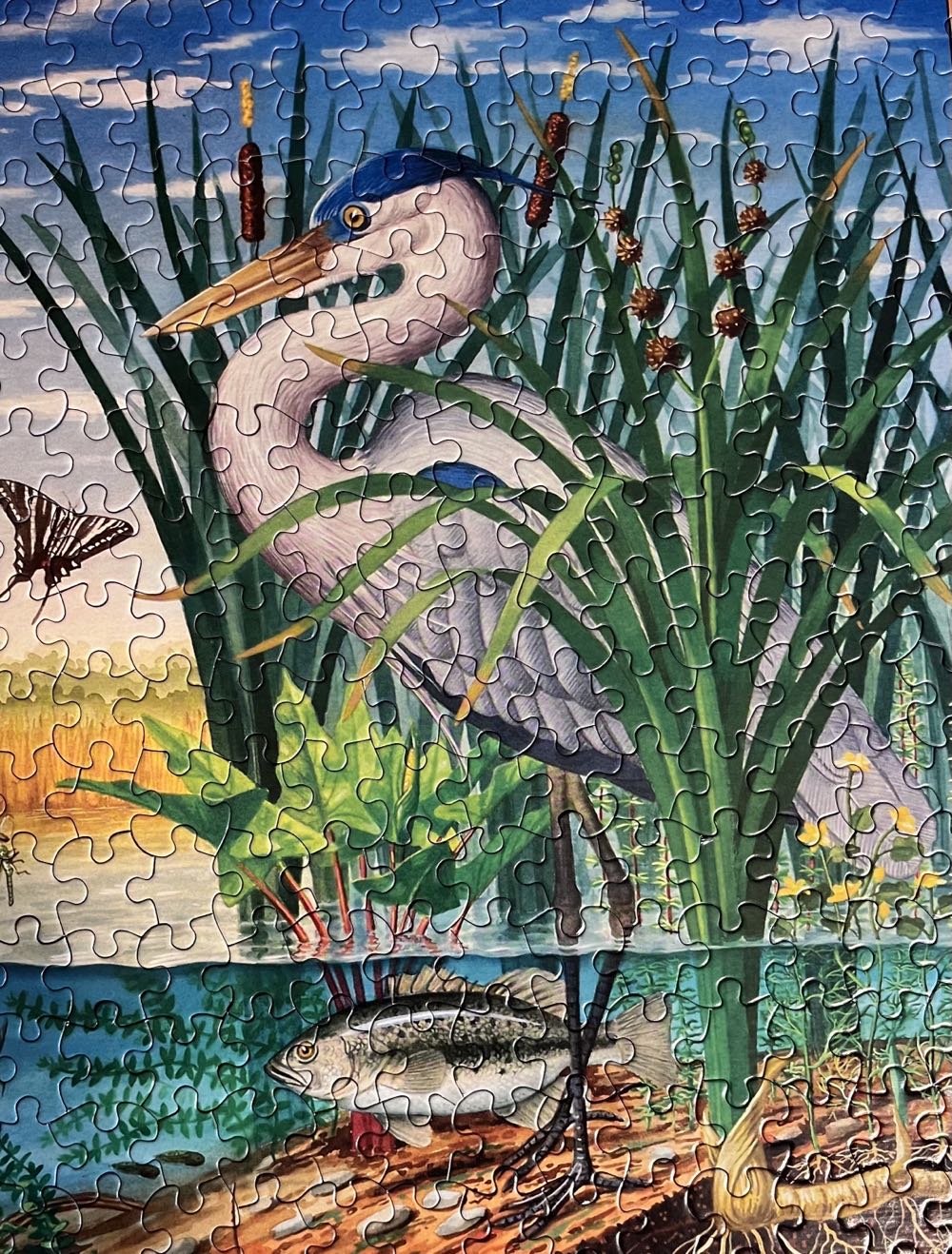 SOLD-Pond Life $$$$ - White Mountain Puzzles puzzle collectible [Barcode 724819251018] - Main Image 4