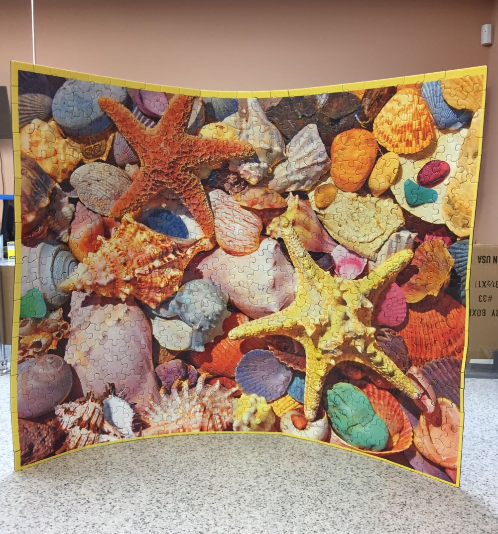 Beach Shells - White Mountain Puzzles puzzle collectible [Barcode 724819262588] - Main Image 4