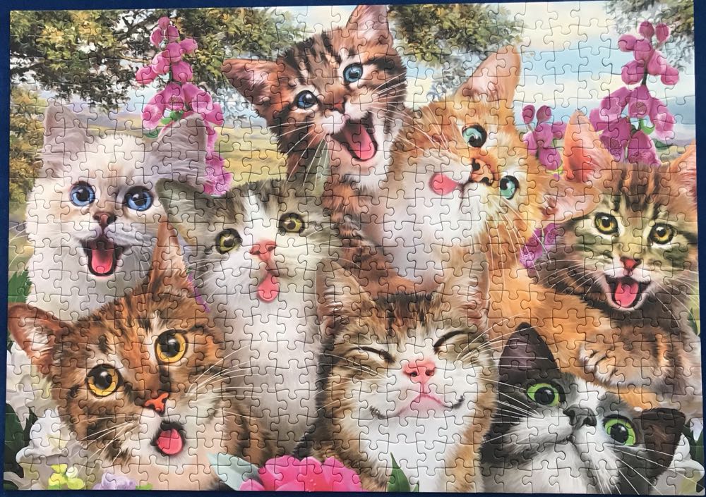 Cat Selfie - Schmidt puzzle collectible [Barcode 4001504583910] - Main Image 2