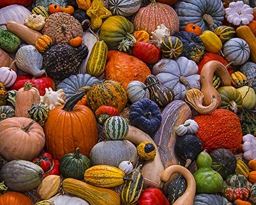 Autumn Harvest - Vermont Christmas Company puzzle collectible [Barcode 871241009479] - Main Image 1