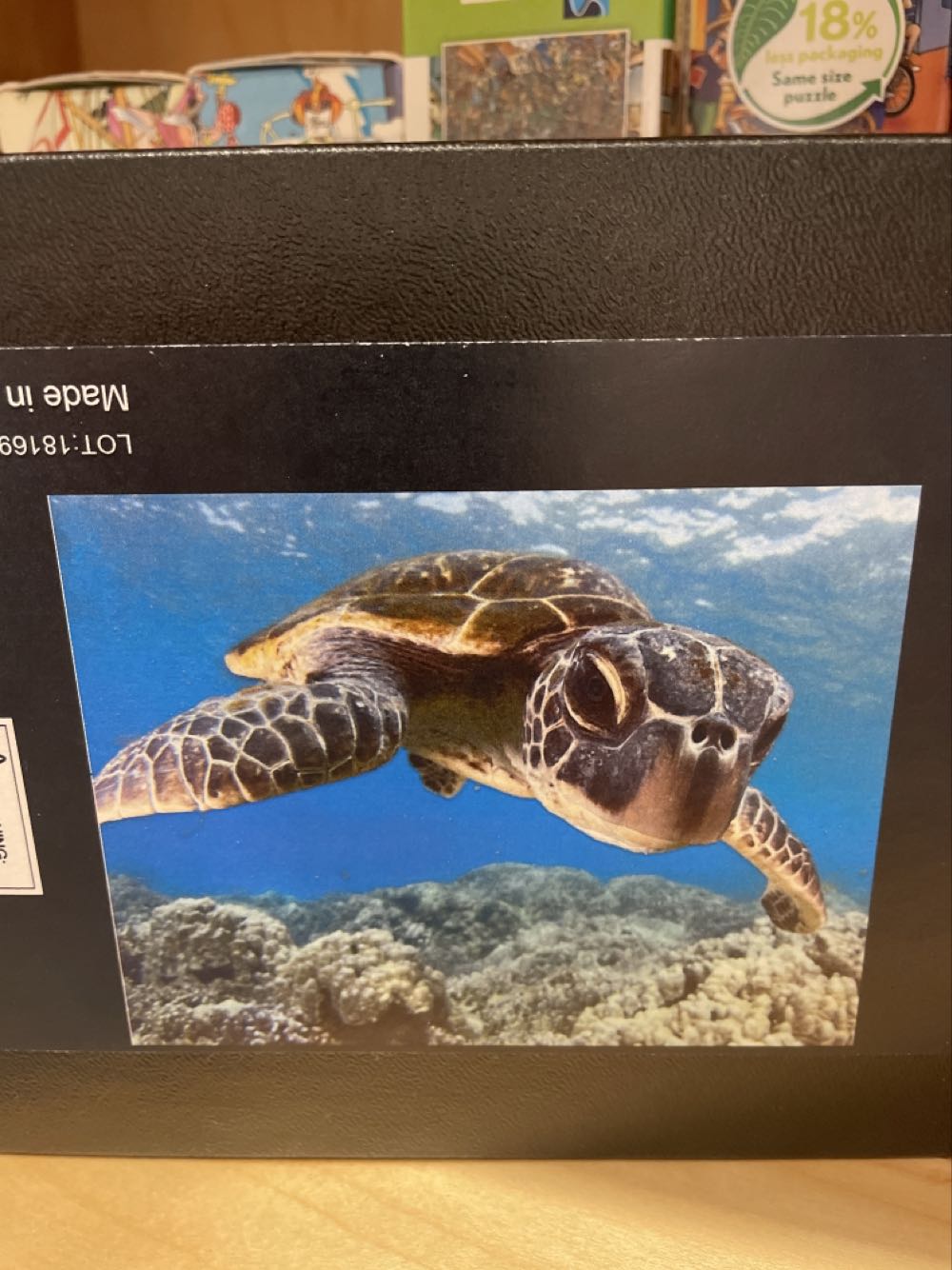 Welcome to My Garden