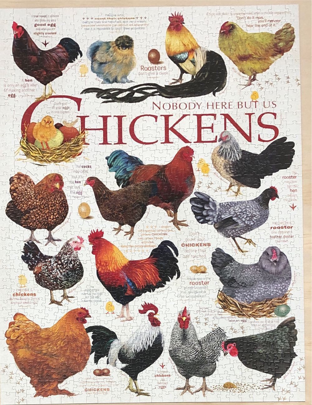 Chicken Quotes - Cobble Hill 🇨🇦 puzzle collectible [Barcode 625012801201] - Main Image 2