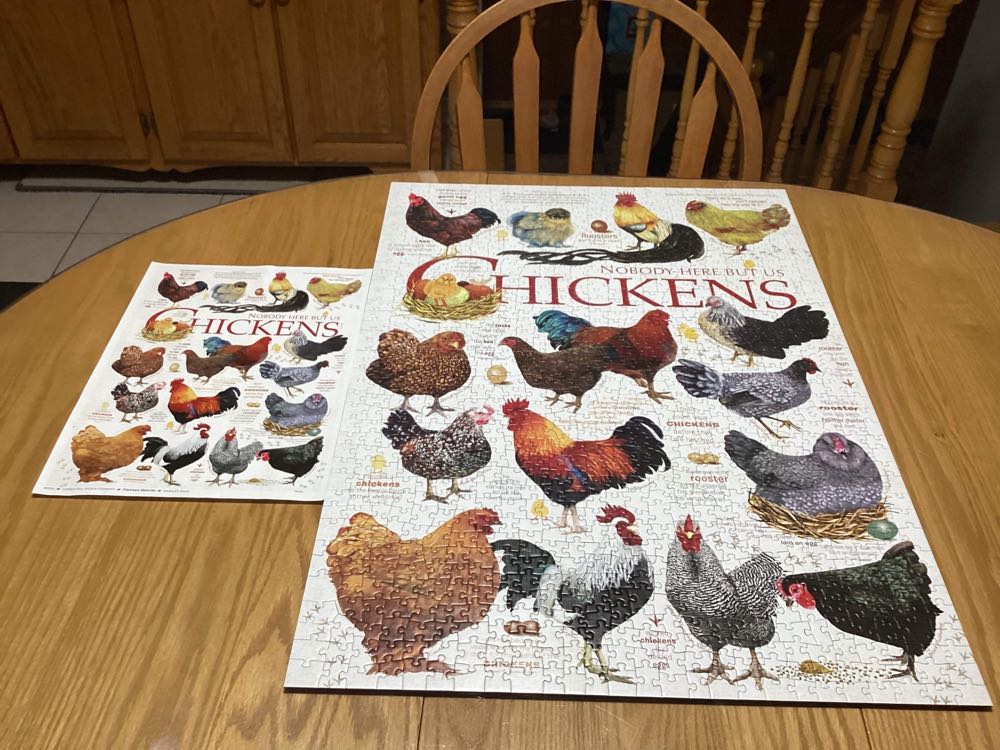 Chicken Quotes - Cobble Hill 🇨🇦 puzzle collectible [Barcode 625012801201] - Main Image 4
