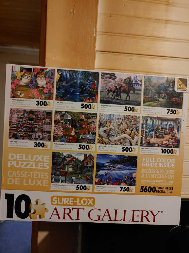 50th Commemorative Springbok