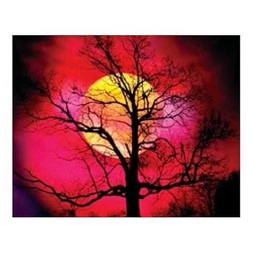 Yeah Four-letter Puzzle- Done