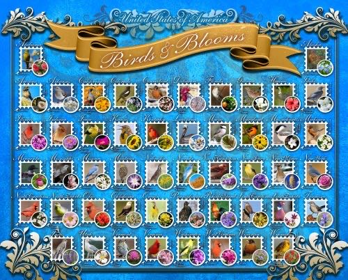 Colorful Silk Pareos