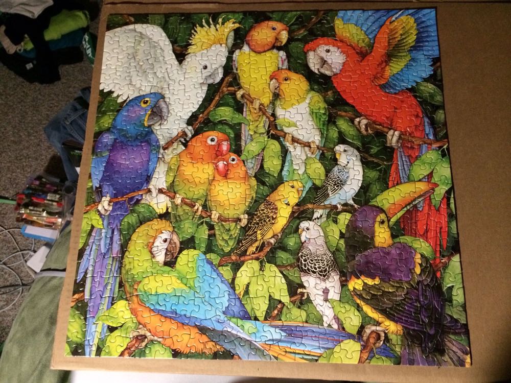 Flower Horse Jacarou