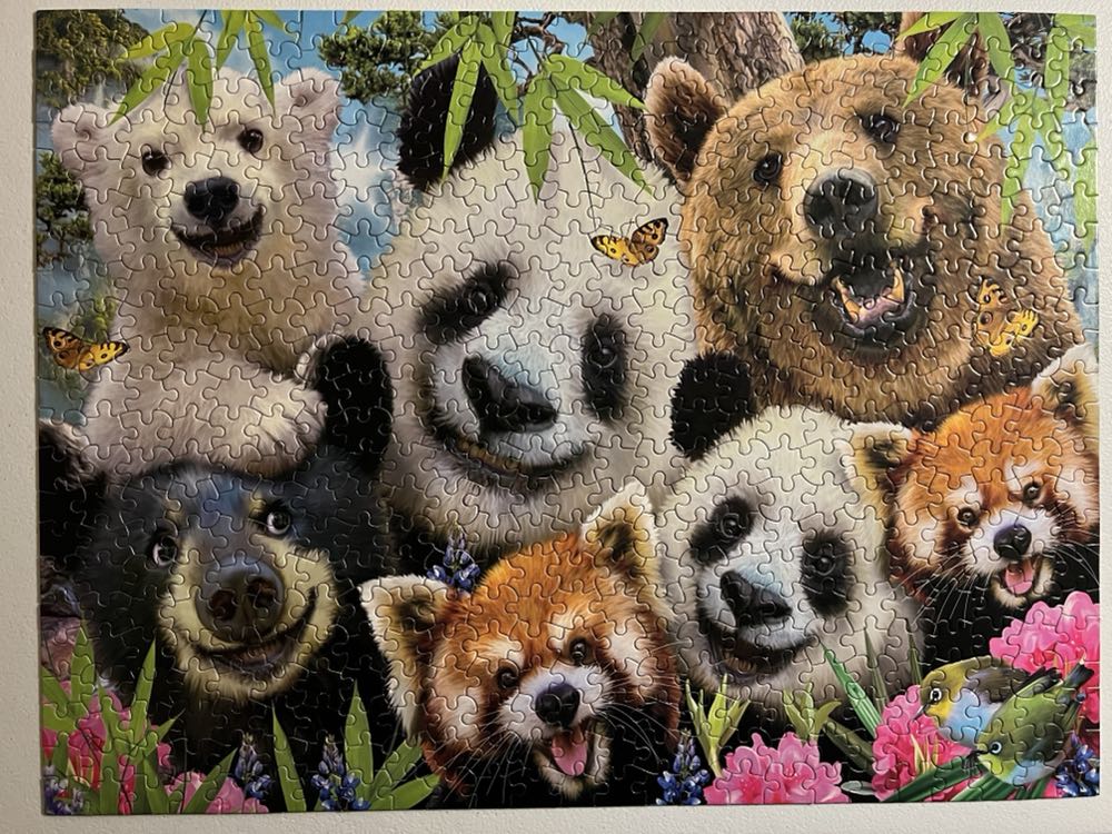 Selfies Bear Essentials (Verified by Me) 🧩 - Ceaco puzzle collectible [Barcode 021081231954] - Main Image 2