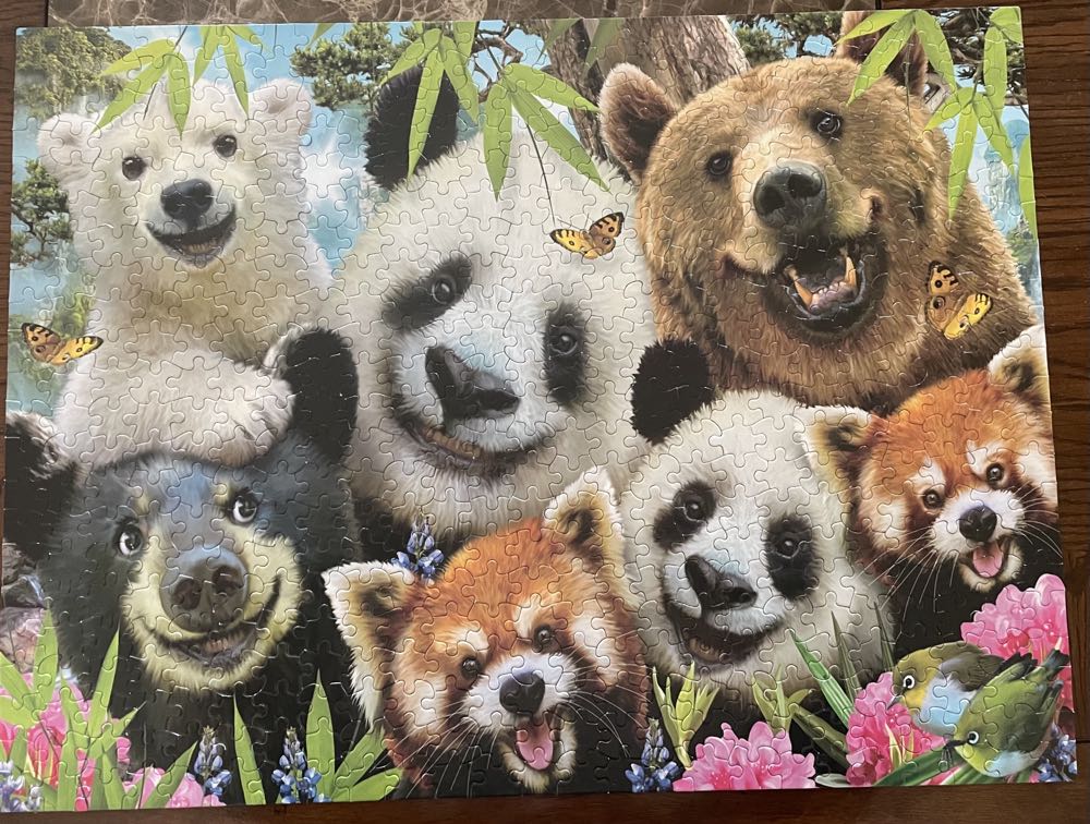 Selfies Bear Essentials (Verified by Me) 🧩 - Ceaco puzzle collectible [Barcode 021081231954] - Main Image 3