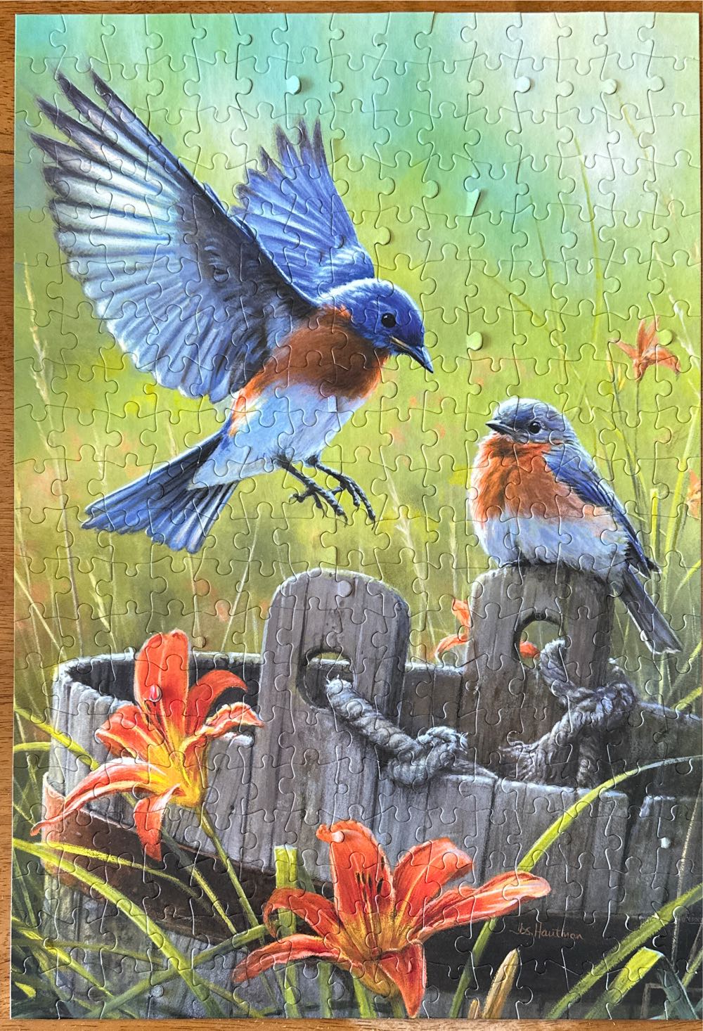 Bluebirds - Buffalo puzzle collectible [Barcode 079346025152] - Main Image 3