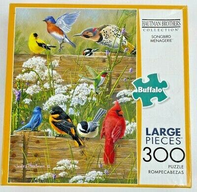 Sydney, Australia At Night