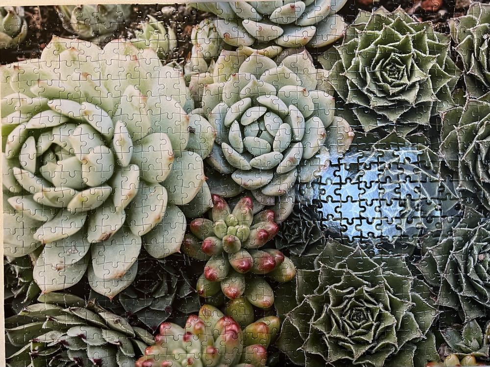 Succulent Garden - Galison puzzle collectible [Barcode 9780735355309] - Main Image 2