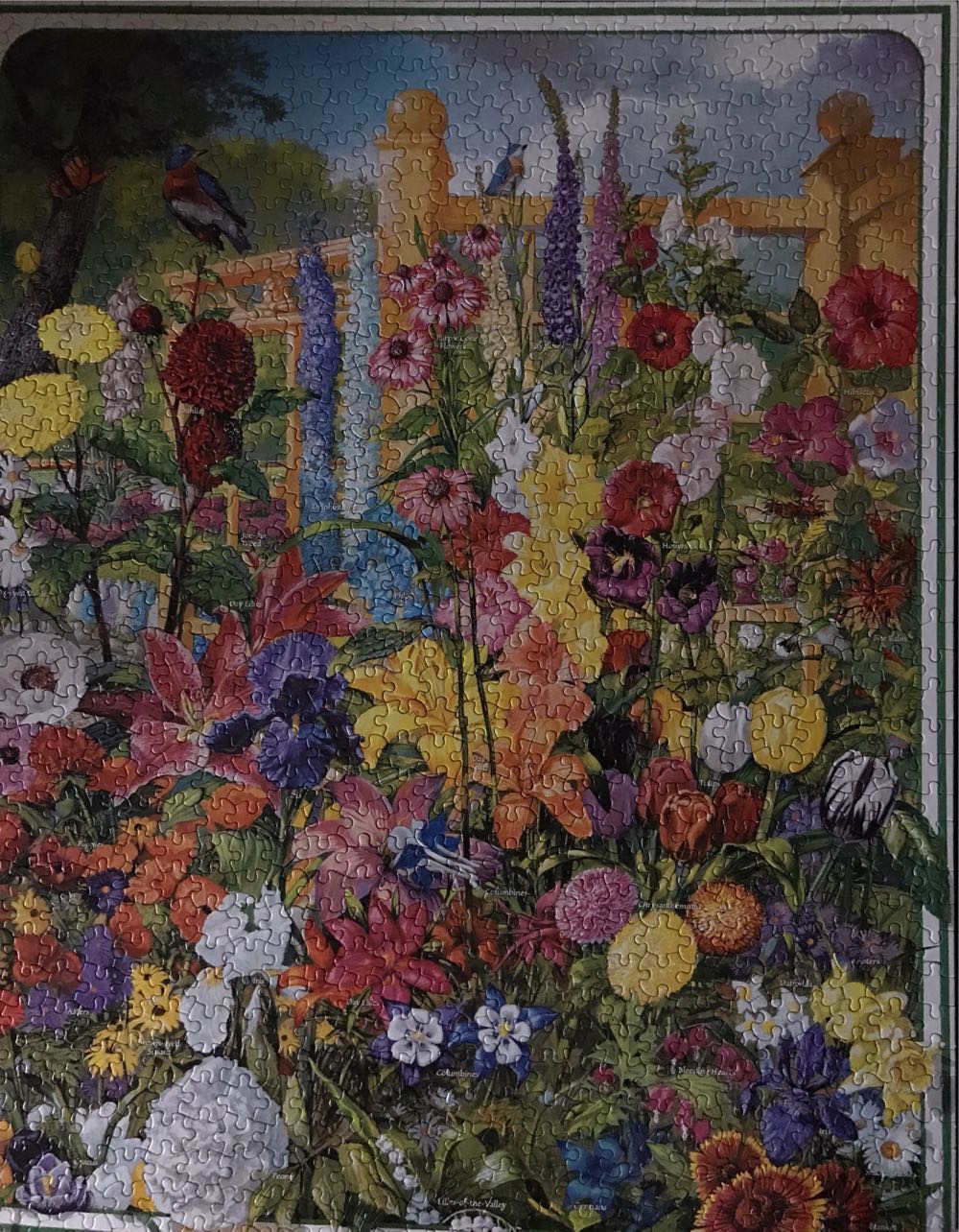 Learn About Perennials - White Mountain Puzzles puzzle collectible - Main Image 2