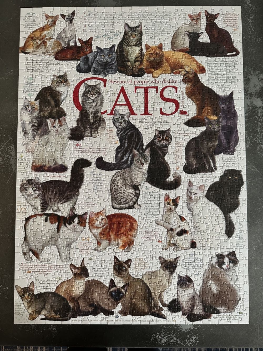 Cat Quotes - Cobble Hill puzzle collectible [Barcode 625012800952] - Main Image 2