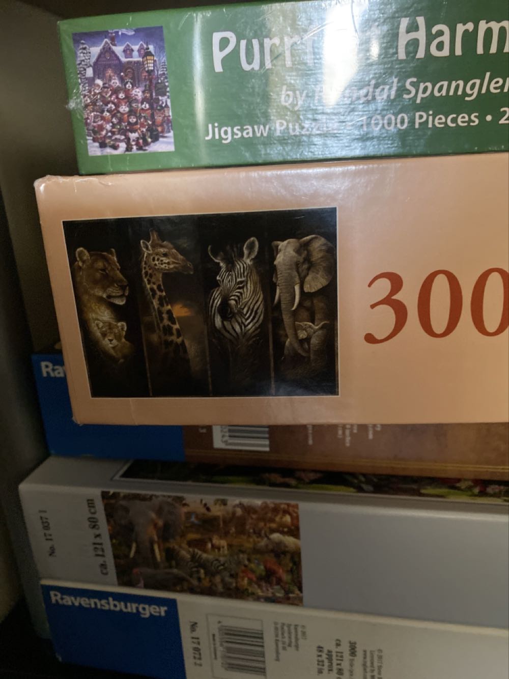 Birds And Spring Blossoms