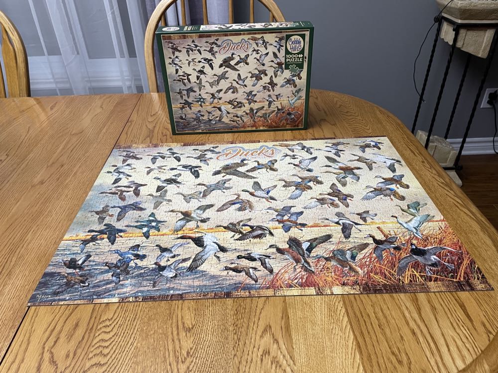 Ducks Of North America - Cobble Hill puzzle collectible - Main Image 2