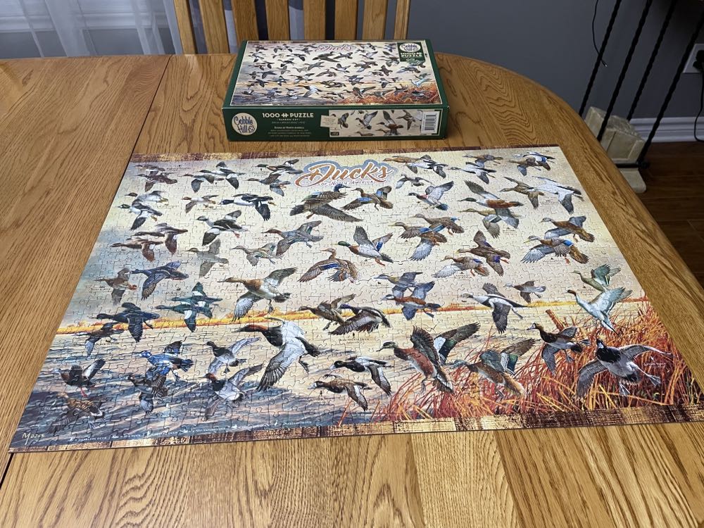 Ducks Of North America - Cobble Hill puzzle collectible - Main Image 3
