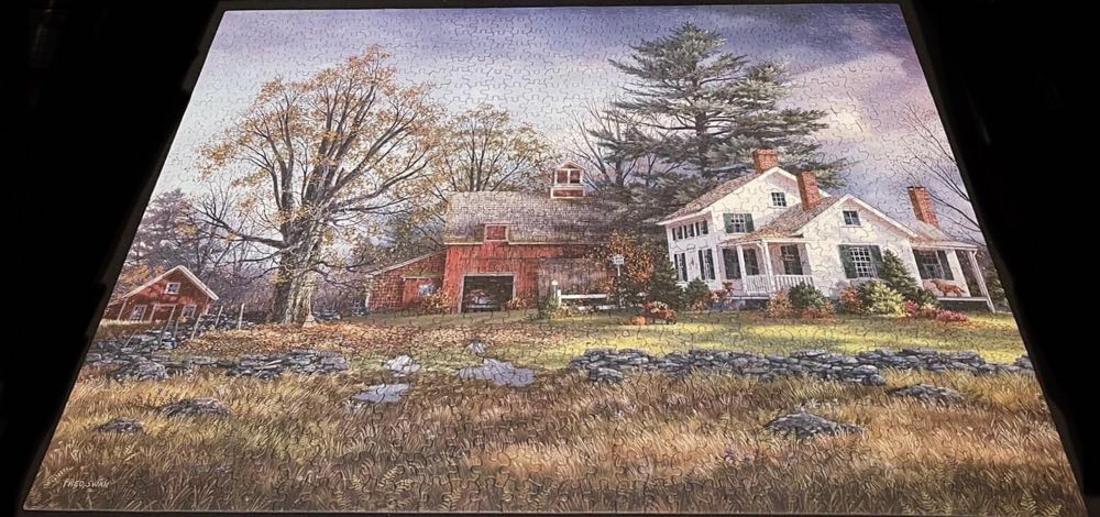 Precious Days - White Mountain puzzle collectible [Barcode 724819258192] - Main Image 3