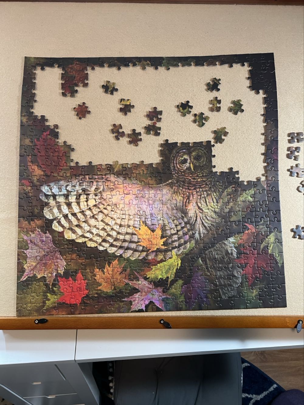 Jay Burch: Owl 500-piece Jigsaw Puzzle Pomegranate 20” X 20” - Pomegranate Artpiece Puzzle puzzle collectible [Barcode 9780764970665] - Main Image 2