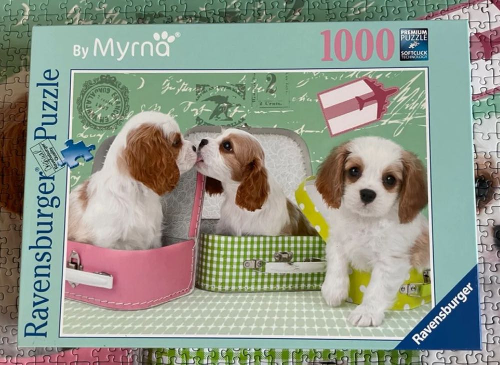 Travel Fever - Ravensburger puzzle collectible [Barcode 4005556193240] - Main Image 3