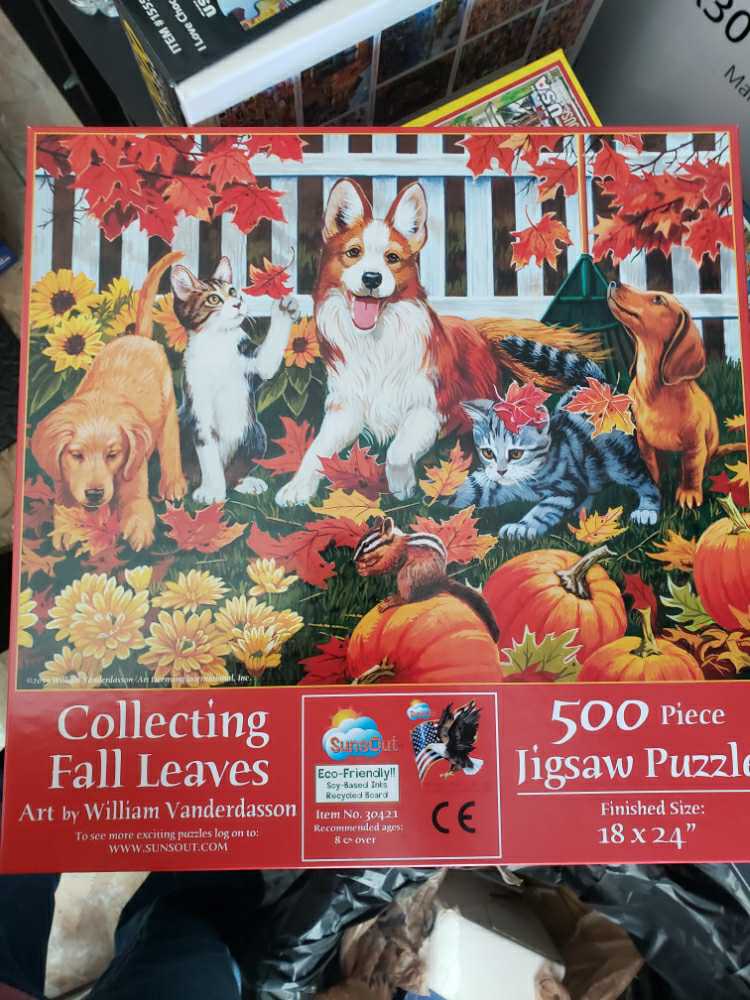 Lilac Point Glen (v)