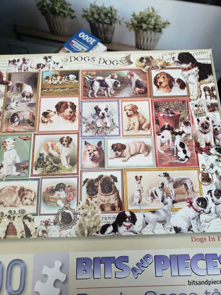 Dr Livingston’s Anatomy Vol I - The Human Head