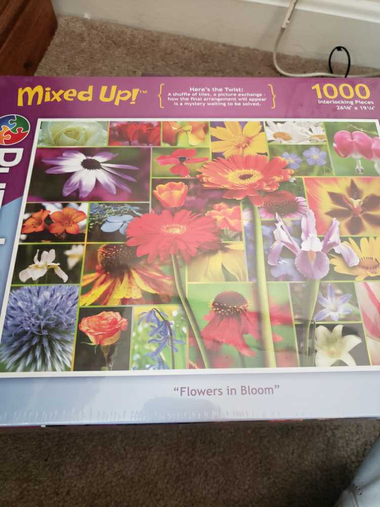 Sure-Lox Soap Box Derby