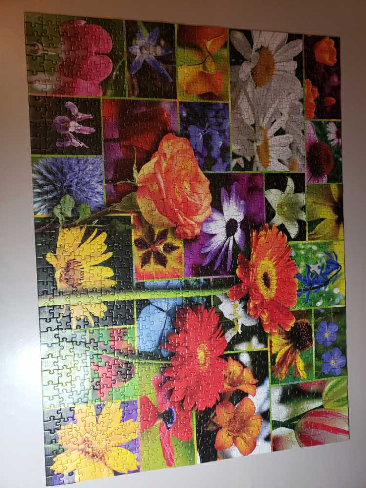Flower’s In Bloom - Puzzle Twist puzzle collectible [Barcode 614399106016] - Main Image 2