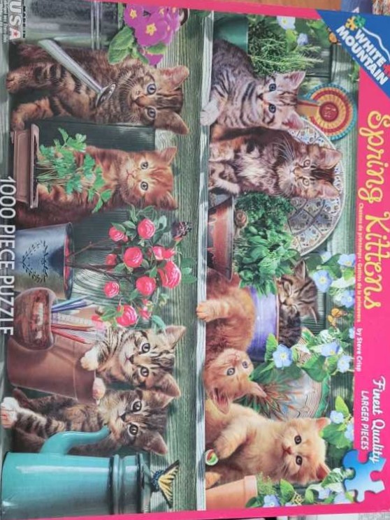 Don’t Mess With Kitty