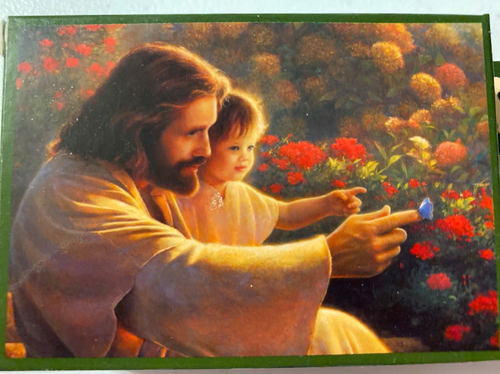 Purple Flowers Displayed In Garden In A Bicycle