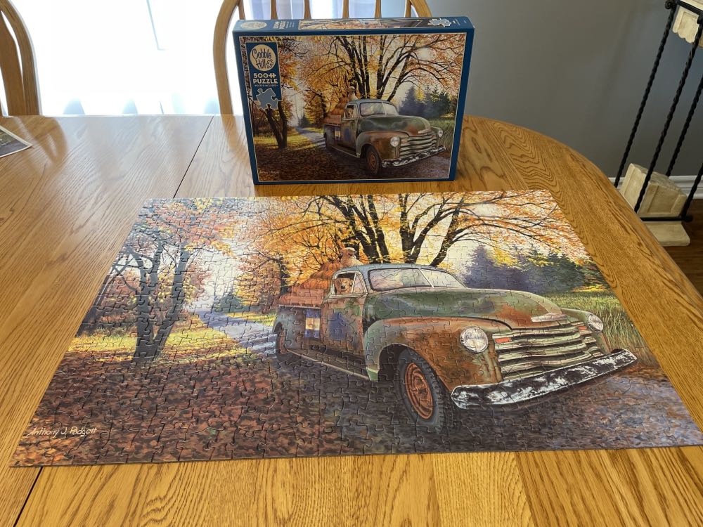 Joyride - Cobble Hill puzzle collectible [Barcode 625012850056] - Main Image 2