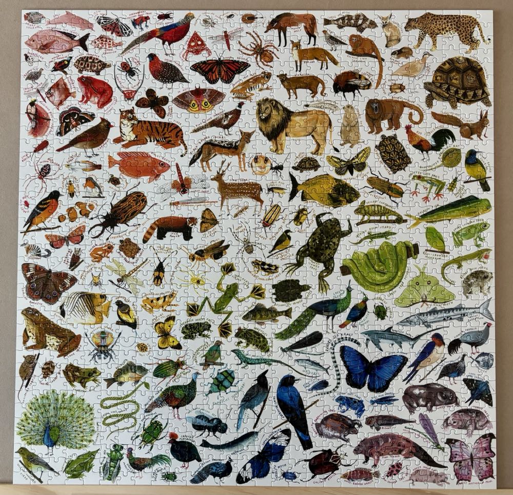 A Rainbow World - Eeboo puzzle collectible [Barcode 689196509971] - Main Image 2