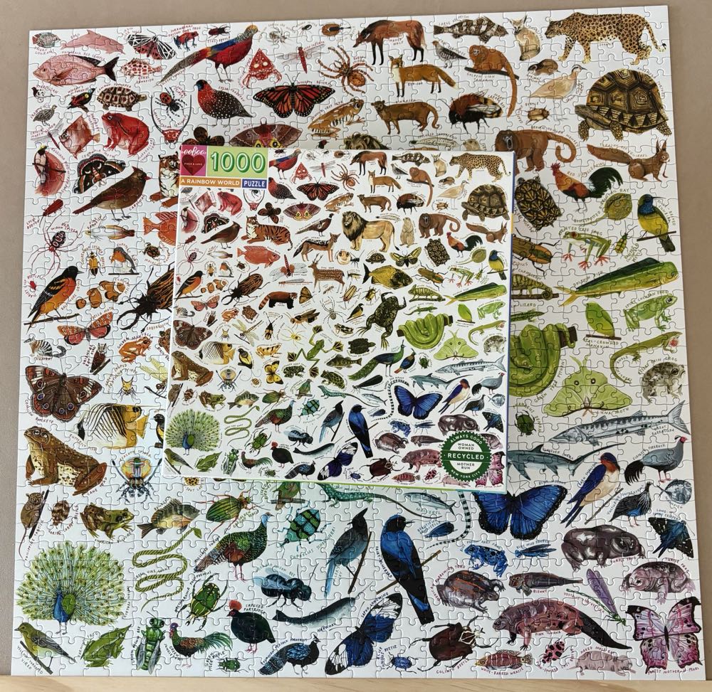 A Rainbow World - Eeboo puzzle collectible [Barcode 689196509971] - Main Image 3