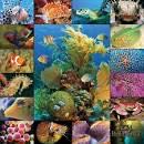 Top Trumps Card Game: Harry Potter Halfblood Prince