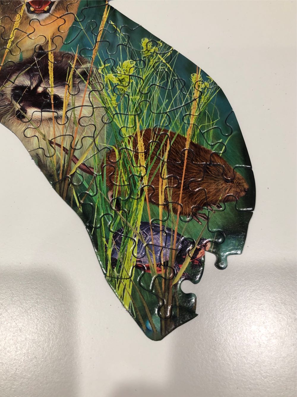 Manatees - SunsOut 🇺🇸 puzzle collectible [Barcode 796780902657] - Main Image 3