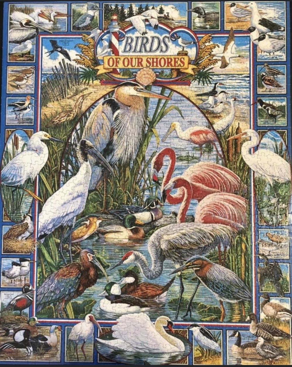 Birds Of Our Shores - White Mountain puzzle collectible [Barcode 724819248322] - Main Image 2
