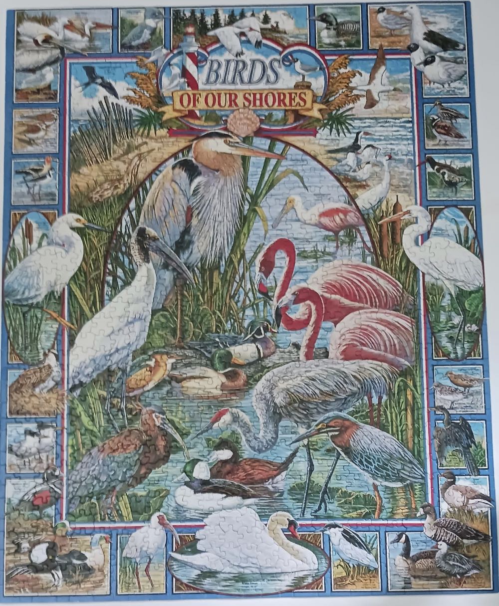 Birds Of Our Shores - White Mountain puzzle collectible [Barcode 724819248322] - Main Image 3