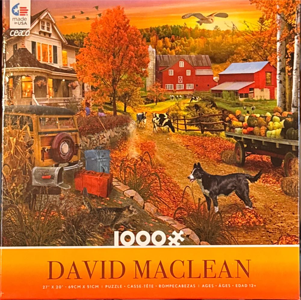 Sarina’s World - Ceaco puzzle collectible [Barcode 021081331265] - Main Image 2