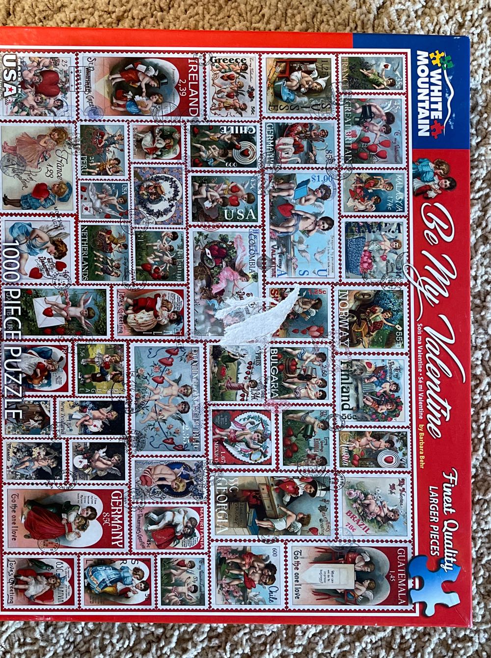 A Dolphin’s Paradise